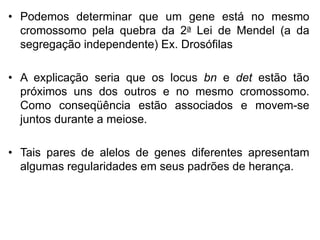 • Podemos determinar que um gene está no mesmo
cromossomo pela quebra da 2a Lei de Mendel (a da
segregação independente) Ex. Drosófilas
• A explicação seria que os locus bn e det estão tão
próximos uns dos outros e no mesmo cromossomo.
Como conseqüência estão associados e movem-se
juntos durante a meiose.
• Tais pares de alelos de genes diferentes apresentam
algumas regularidades em seus padrões de herança.
 