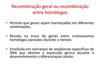 Recombinação geral ou recombinação
entre homólogos
• Permite que genes sejam rearranjados em diferentes
combinações.
• Resulta na troca de genes entre cromossomos
homólogos pareados durante a meiose.
• Envolvida em rearranjos de seqüências especificas de
DNA que alteram a expressão genica durante o
desenvolvimento e diferenciaçao celular.
 