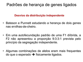 Padrões de herança de genes ligados
• Bateson e Punnett estudando a herança de dois genes
nas ervilhas-de-cheiro.
• Em uma autofecundação padrão de uma F1 diíbrida, a
F2 não apresentou a proporção 9:3:3:1 prevista pelo
princípio da segregação independente.
• Algumas combinações de alelos eram mais frequentes
do que o esperado  fisicamente ligados.
Desvios da distribuição independente
 