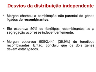 • Morgan chamou a combinação não-parental de genes
ligados de recombinantes.
• Ele esperava 50% de fenótipos recombinantes se a
segregação ocorresse independentemente.
• Morgan observou 900/2.441 (36,9%) de fenótipos
recombinantes. Então, concluiu que os dois genes
devem estar ligados.
Desvios da distribuição independente
 