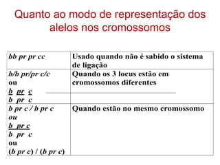 Quanto ao modo de representação dos
alelos nos cromossomos
bb pr pr cc Usado quando não é sabido o sistema
de ligação
b/b pr/pr c/c
ou
b pr c
b pr c
Quando os 3 locus estão em
cromossomos diferentes
b pr c / b pr c
ou
b pr c
b pr c
ou
(b pr c) / (b pr c)
Quando estão no mesmo cromossomo
 