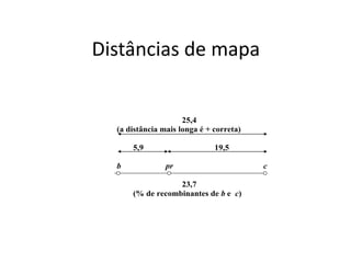 Distâncias de mapa
25,4
(a distância mais longa é + correta)
5,9 19,5
b pr c
23,7
(% de recombinantes de b e c)
 