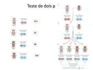 Teste de dois pontos
415
92
88
405
 