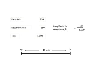 820Parentais
Recombinantes 180
Total 1.000
Freqüência de
recombinação =
_____180
1.000
vg b18 u.m.
 