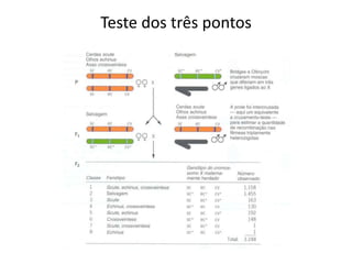 Teste dos três pontos
 