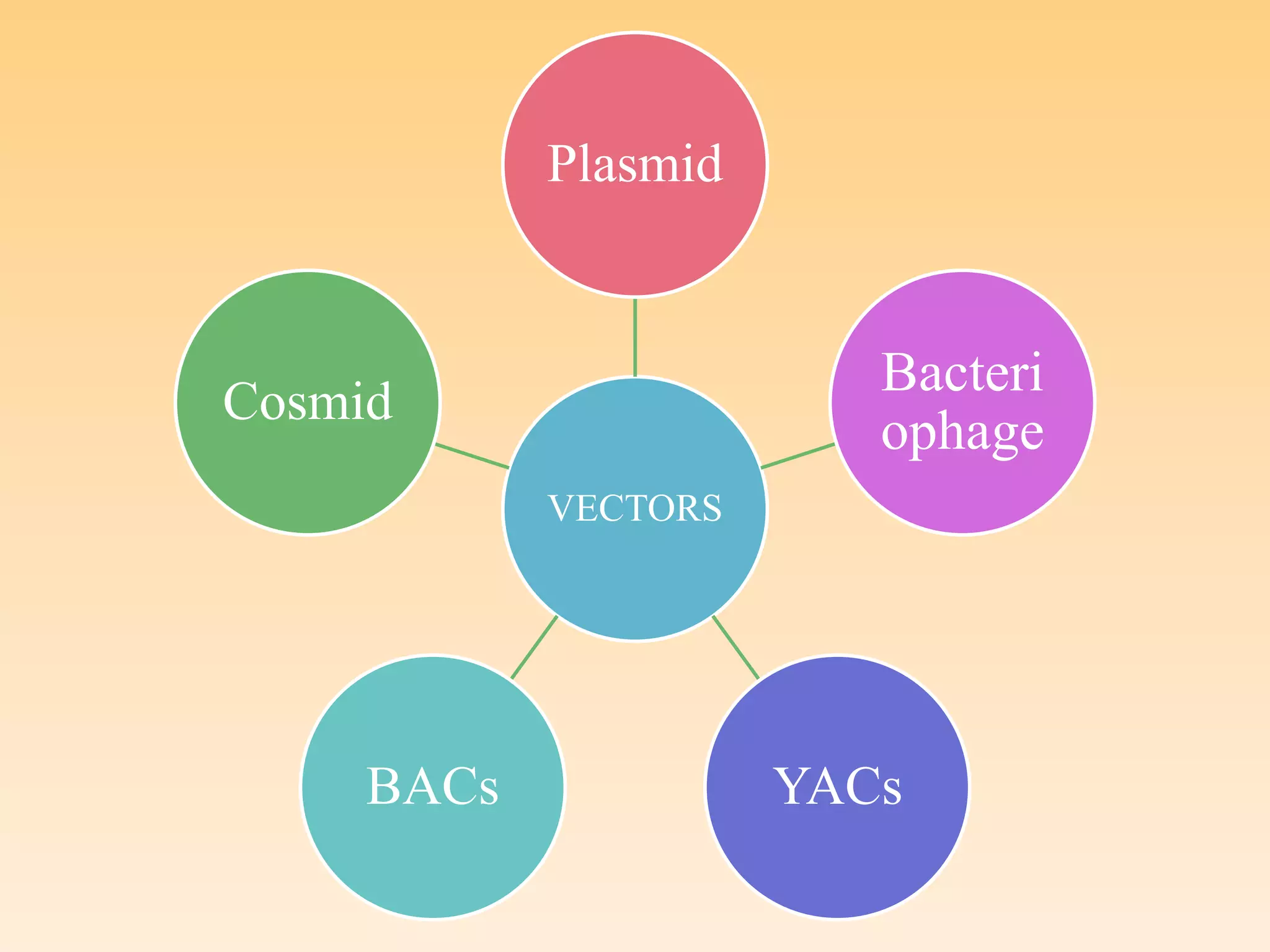 VECTORS
Plasmid
Bacteri
ophage
YACs
BACs
Cosmid
 