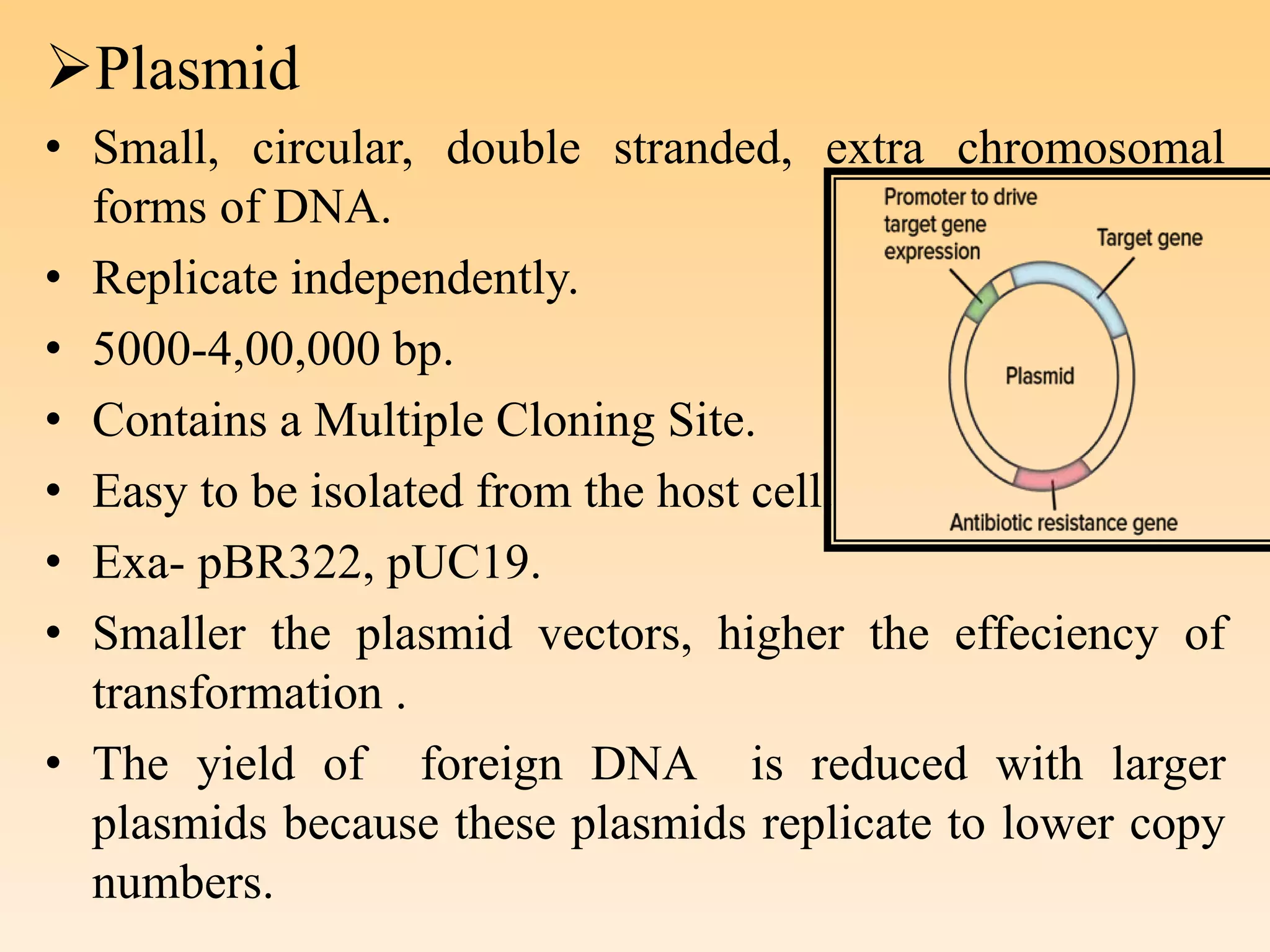 Plasmid
• Small, circular, double stranded, extra chromosomal
forms of DNA.
• Replicate independently.
• 5000-4,00,000 bp.
• Contains a Multiple Cloning Site.
• Easy to be isolated from the host cell.
• Exa- pBR322, pUC19.
• Smaller the plasmid vectors, higher the effeciency of
transformation .
• The yield of foreign DNA is reduced with larger
plasmids because these plasmids replicate to lower copy
numbers.
 