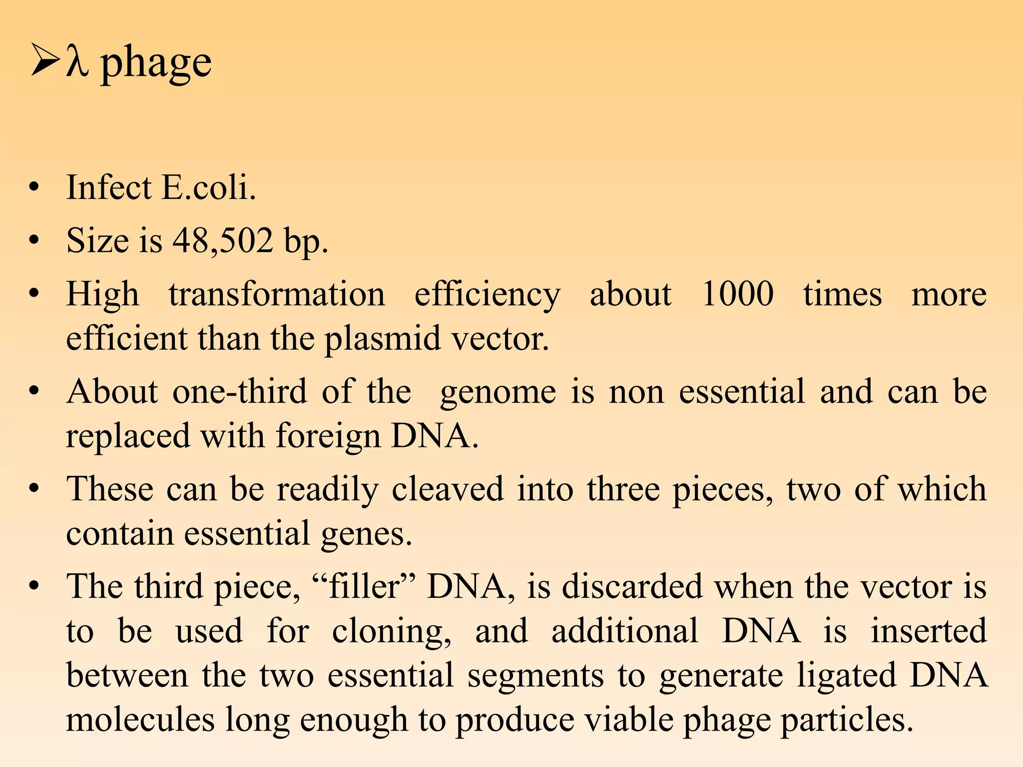 λ phage
• Infect E.coli.
• Size is 48,502 bp.
• High transformation efficiency about 1000 times more
efficient than the plasmid vector.
• About one-third of the genome is non essential and can be
replaced with foreign DNA.
• These can be readily cleaved into three pieces, two of which
contain essential genes.
• The third piece, “filler” DNA, is discarded when the vector is
to be used for cloning, and additional DNA is inserted
between the two essential segments to generate ligated DNA
molecules long enough to produce viable phage particles.
 