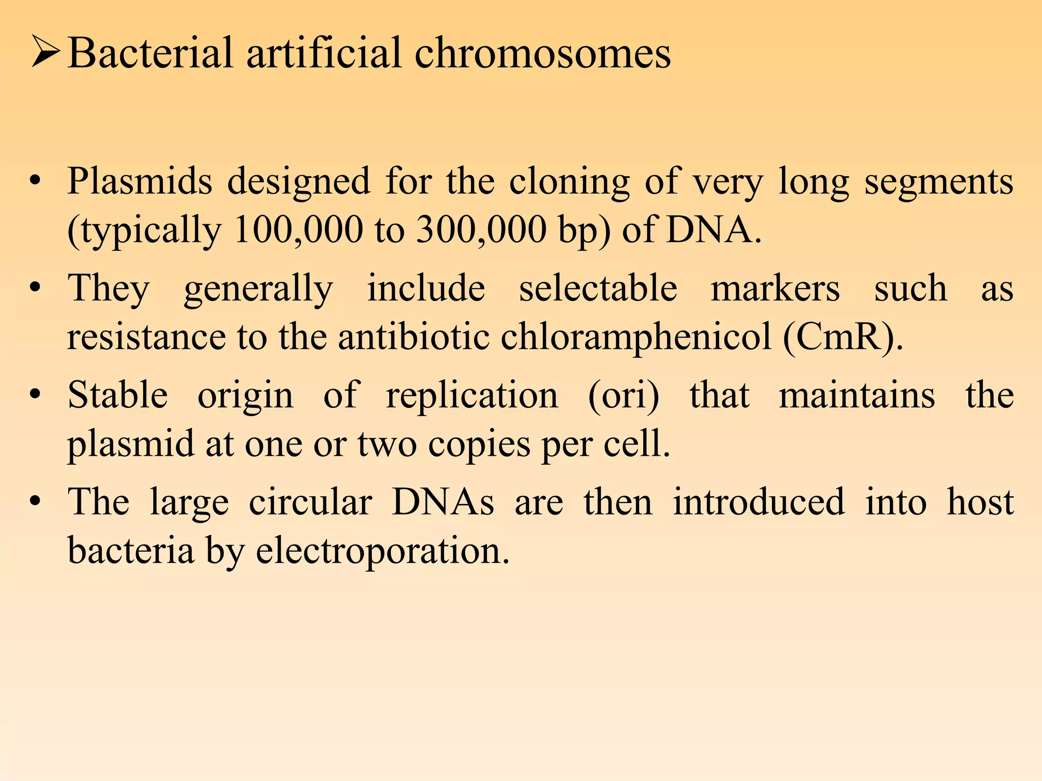 Bacterial artificial chromosomes
• Plasmids designed for the cloning of very long segments
(typically 100,000 to 300,000 bp) of DNA.
• They generally include selectable markers such as
resistance to the antibiotic chloramphenicol (CmR).
• Stable origin of replication (ori) that maintains the
plasmid at one or two copies per cell.
• The large circular DNAs are then introduced into host
bacteria by electroporation.
 