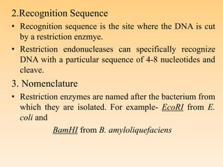 2.Recognition Sequence
• Recognition sequence is the site where the DNA is cut
by a restriction enzmye.
• Restriction endonucleases can specifically recognize
DNA with a particular sequence of 4-8 nucleotides and
cleave.
3. Nomenclature
• Restriction enzymes are named after the bacterium from
which they are isolated. For example- EcoRI from E.
coli and
BamHI from B. amyloliquefaciens
 