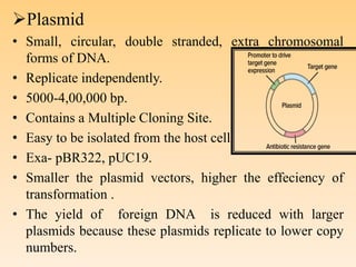 Plasmid
• Small, circular, double stranded, extra chromosomal
forms of DNA.
• Replicate independently.
• 5000-4,00,000 bp.
• Contains a Multiple Cloning Site.
• Easy to be isolated from the host cell.
• Exa- pBR322, pUC19.
• Smaller the plasmid vectors, higher the effeciency of
transformation .
• The yield of foreign DNA is reduced with larger
plasmids because these plasmids replicate to lower copy
numbers.
 