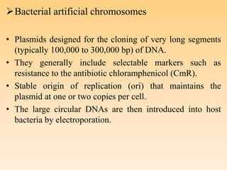 Bacterial artificial chromosomes
• Plasmids designed for the cloning of very long segments
(typically 100,000 to 300,000 bp) of DNA.
• They generally include selectable markers such as
resistance to the antibiotic chloramphenicol (CmR).
• Stable origin of replication (ori) that maintains the
plasmid at one or two copies per cell.
• The large circular DNAs are then introduced into host
bacteria by electroporation.
 