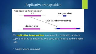 Recombinatins .pptx
