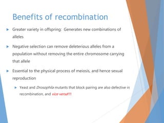 Benefits of recombination
 Greater variety in offspring: Generates new combinations of
alleles
 Negative selection can remove deleterious alleles from a
population without removing the entire chromosome carrying
that allele
 Essential to the physical process of meiosis, and hence sexual
reproduction
 Yeast and Drosophila mutants that block pairing are also defective in
recombination, and vice versa!!!!
 