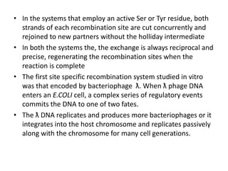 • In the systems that employ an active Ser or Tyr residue, both
strands of each recombination site are cut concurrently and
rejoined to new partners without the holliday intermediate
• In both the systems the, the exchange is always reciprocal and
precise, regenerating the recombination sites when the
reaction is complete
• The first site specific recombination system studied in vitro
was that encoded by bacteriophage ƛ. When ƛ phage DNA
enters an E.COLI cell, a complex series of regulatory events
commits the DNA to one of two fates.
• The ƛ DNA replicates and produces more bacteriophages or it
integrates into the host chromosome and replicates passively
along with the chromosome for many cell generations.
 