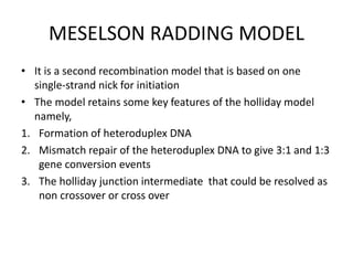 MESELSON RADDING MODEL
• It is a second recombination model that is based on one
single-strand nick for initiation
• The model retains some key features of the holliday model
namely,
1. Formation of heteroduplex DNA
2. Mismatch repair of the heteroduplex DNA to give 3:1 and 1:3
gene conversion events
3. The holliday junction intermediate that could be resolved as
non crossover or cross over
 