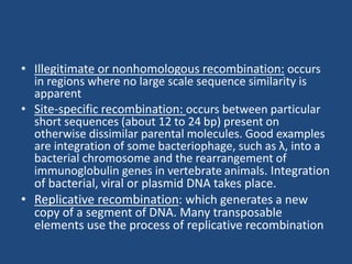 • Illegitimate or nonhomologous recombination: occurs
in regions where no large scale sequence similarity is
apparent
• Site-specific recombination: occurs between particular
short sequences (about 12 to 24 bp) present on
otherwise dissimilar parental molecules. Good examples
are integration of some bacteriophage, such as λ, into a
bacterial chromosome and the rearrangement of
immunoglobulin genes in vertebrate animals. Integration
of bacterial, viral or plasmid DNA takes place.
• Replicative recombination: which generates a new
copy of a segment of DNA. Many transposable
elements use the process of replicative recombination
 