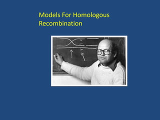 Models For Homologous
Recombination
 