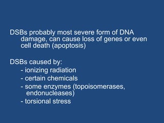 DSBs probably most severe form of DNA
damage, can cause loss of genes or even
cell death (apoptosis)
DSBs caused by:
- ionizing radiation
- certain chemicals
- some enzymes (topoisomerases,
endonucleases)
- torsional stress
 