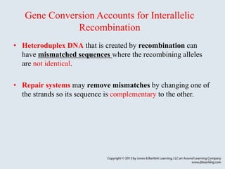 Recombination is a fundamental genetic process that occurs | PPT