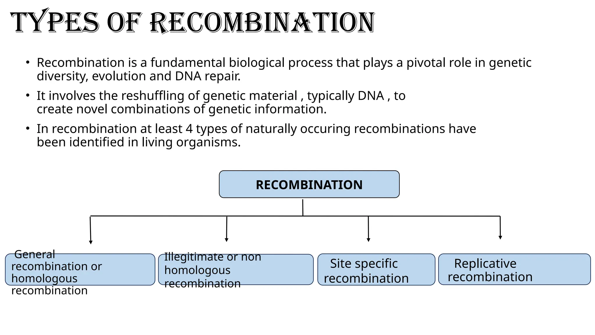 Dna Recombination Types