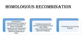 recombination.pptx 4 types of recombination | PPTX