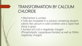 TRANSFORMATION BY CALCIUM
CHLORIDE
• Mechanism is unclear.
• Cells are incubated in a solution containing divalent
cations like calcium in cold condition and a rapid heat
shock is given.
• Surface of E.coli is negatively charged
(Phospholipids, Lipopolysaccharides) as well as DNAis
negatively charged.
 