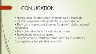 CONJUGATION
• Needs extra chromosomal elements called Plasmids.
• Plasmids replicate independently of chromosome.
• They carry non-essential genes for growth during normal
conditions.
• They give advantage for cells during stress.
• Ex:Antibiotic resistance genes.
• Plasmids can be transferred from one cell to another (
Conjugative or transferable plasmids).
 