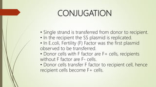 CONJUGATION
• Single strand is transferred from donor to recipient.
• In the recipient the SS plasmid is replicated.
• In E.coli, Fertility (F) Factor was the first plasmid
observed to be transferred.
• Donor cells with F factor are F+ cells, recipients
without F factor are F- cells.
• Donor cells transfer F factor to recipient cell, hence
recipient cells become F+ cells.
 