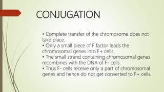 CONJUGATION
• Complete transfer of the chromosome does not
take place.
• Only a small piece of F factor leads the
chromosomal genes into F+ cells.
• The small strand containing chromosomal genes
recombines with the DNA of F- cells.
• Thus F- cells receive only a part of chromosomal
genes and hence do not get converted to F+ cells.
 