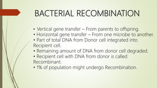 BACTERIAL RECOMBINATION
• Vertical gene transfer – From parents to offspring.
• Horizontal gene transfer – From one microbe to another.
• Part of total DNA from Donor cell integrated into
Recipient cell.
• Remaining amount of DNA from donor cell degraded.
• Recipient cell with DNA from donor is called
Recombinant.
• 1% of population might undergo Recombination.
 