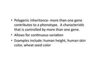 •  Polygenic	
  inheritance-­‐	
  more	
  than	
  one	
  gene	
  
   contributes	
  to	
  a	
  phenotype.	
  	
  A	
  characterisDc	
  
   that	
  is	
  controlled	
  by	
  more	
  than	
  one	
  gene.	
  
•  Allows	
  for	
  conDnuous	
  variaDon	
  
•  Examples	
  include:	
  human	
  height,	
  human	
  skin	
  
   color,	
  wheat	
  seed	
  color	
  
 