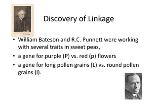 Discovery	
  of	
  Linkage	
  

•  William	
  Bateson	
  and	
  R.C.	
  PunneP	
  were	
  working	
  
   with	
  several	
  traits	
  in	
  sweet	
  peas,	
  	
  
•  a	
  gene	
  for	
  purple	
  (P)	
  vs.	
  red	
  (p)	
  ﬂowers	
  
•  a	
  gene	
  for	
  long	
  pollen	
  grains	
  (L)	
  vs.	
  round	
  pollen	
  
   grains	
  (l).	
  	
  
 