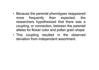 •  Because the parental phenotypes reappeared
   more frequently than expected, the
   researchers hypothesized that there was a
   coupling, or connection, between the parental
   alleles for flower color and pollen grain shape
•  This coupling resulted in the observed
   deviation from independent assortment.
 