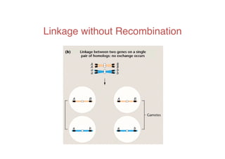 Linkage without Recombination	
  
 