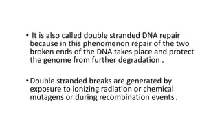 • It is also called double stranded DNA repair
because in this phenomenon repair of the two
broken ends of the DNA takes place and protect
the genome from further degradation .
•Double stranded breaks are generated by
exposure to ionizing radiation or chemical
mutagens or during recombination events .
 