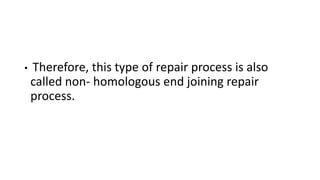 • Therefore, this type of repair process is also
called non- homologous end joining repair
process.
 