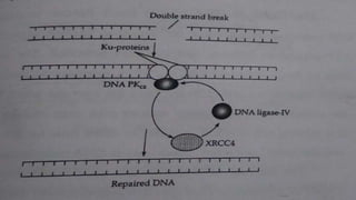 RECOMBINATION ERROR.pptx