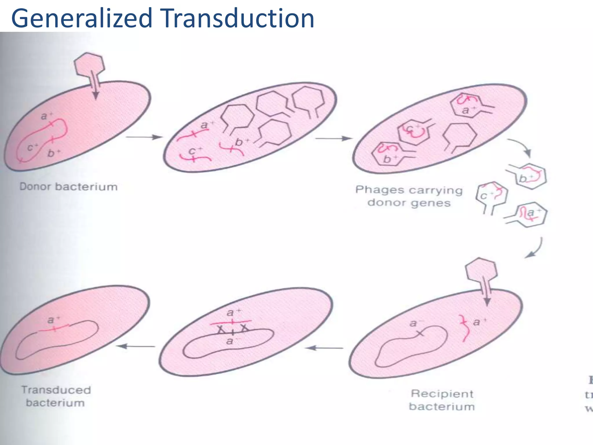 Generalized Transduction 
 