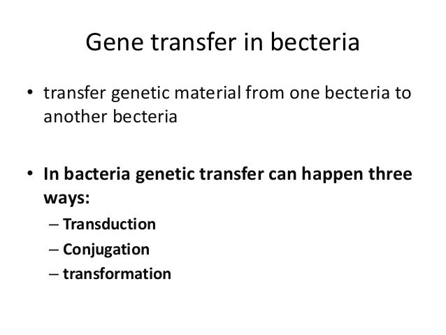 genetic structure salt Recombination in bacteria genetic structure salt Recombination in bacteria
