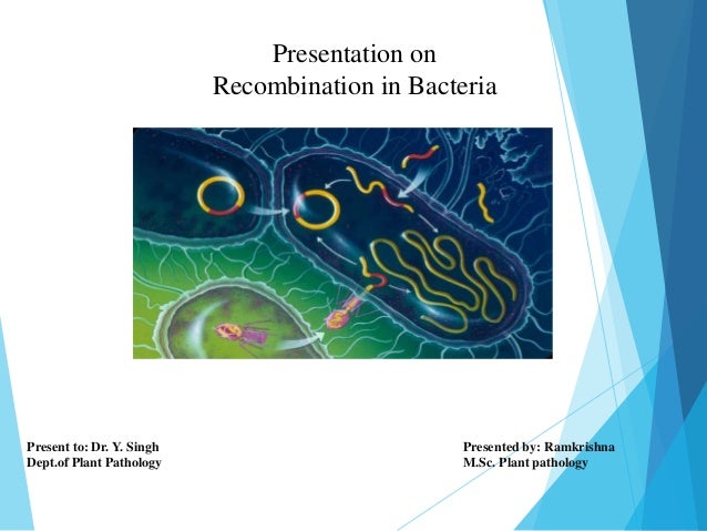 Recombination In Bacteria