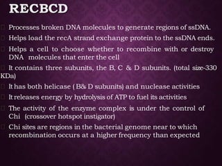 RECBCD
Processes broken DNA molecules to generate regions of ssDNA.
Helps load the recA strand exchange protein to the ssDNA ends.
Helps a cell to choose whether to recombine with or destroy
DNA molecules that enter the cell
It contains three subunits, the B, C & D subunits. (total size-330
KDa)
Ithas both helicase ( B& D subunits) and nuclease activities
Itreleases energy by hydrolysis of ATP to fuel its activities
The activity of the enzyme complex is under the control of
Chi (crossover hotspot instigator)
Chi sites are regions in the bacterial genome near to which
recombination occurs at a higher frequency than expected
 