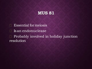 MUS 81
Essential formeiosis
Isan endonuclease
Probably involved in holiday junction
resolution
 