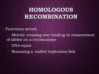HOMOLOGOUS
RECOMBINATION
Functions served:
Meiotic crossing over leading to reassortment
of alleles on a chromosome
DNA repair
Resuming a stalled replication fork
 