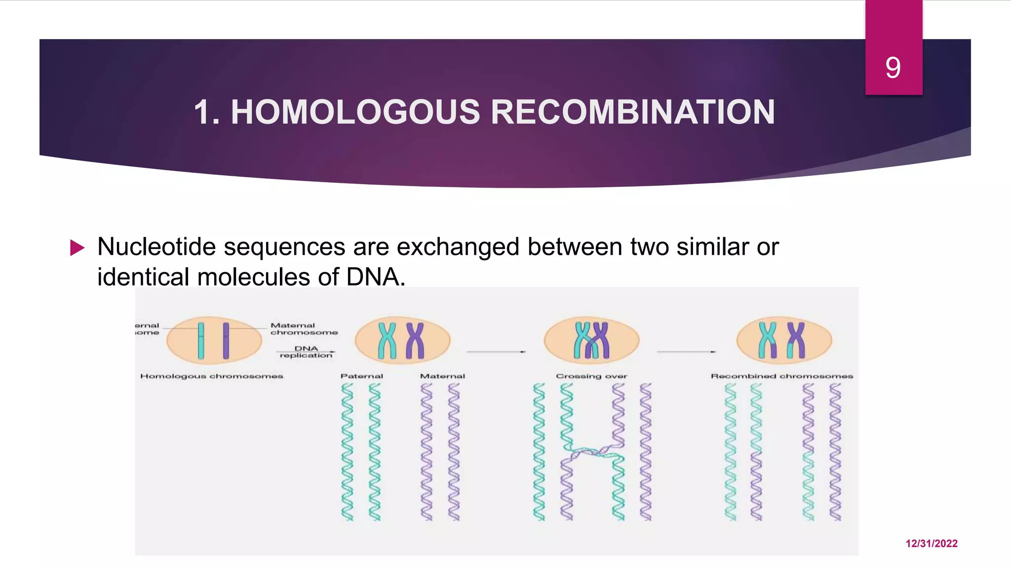 RECOMBINATION MOLECULAR BIOLOGY PPT UPDATED new.pptx
