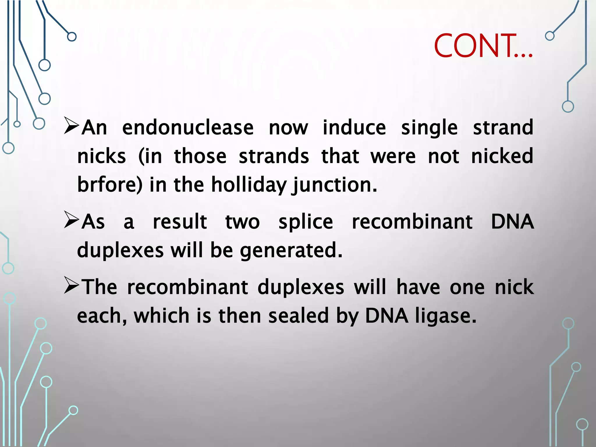 CONT…
An endonuclease now induce single strand
nicks (in those strands that were not nicked
brfore) in the holliday junction.
As a result two splice recombinant DNA
duplexes will be generated.
The recombinant duplexes will have one nick
each, which is then sealed by DNA ligase.
 