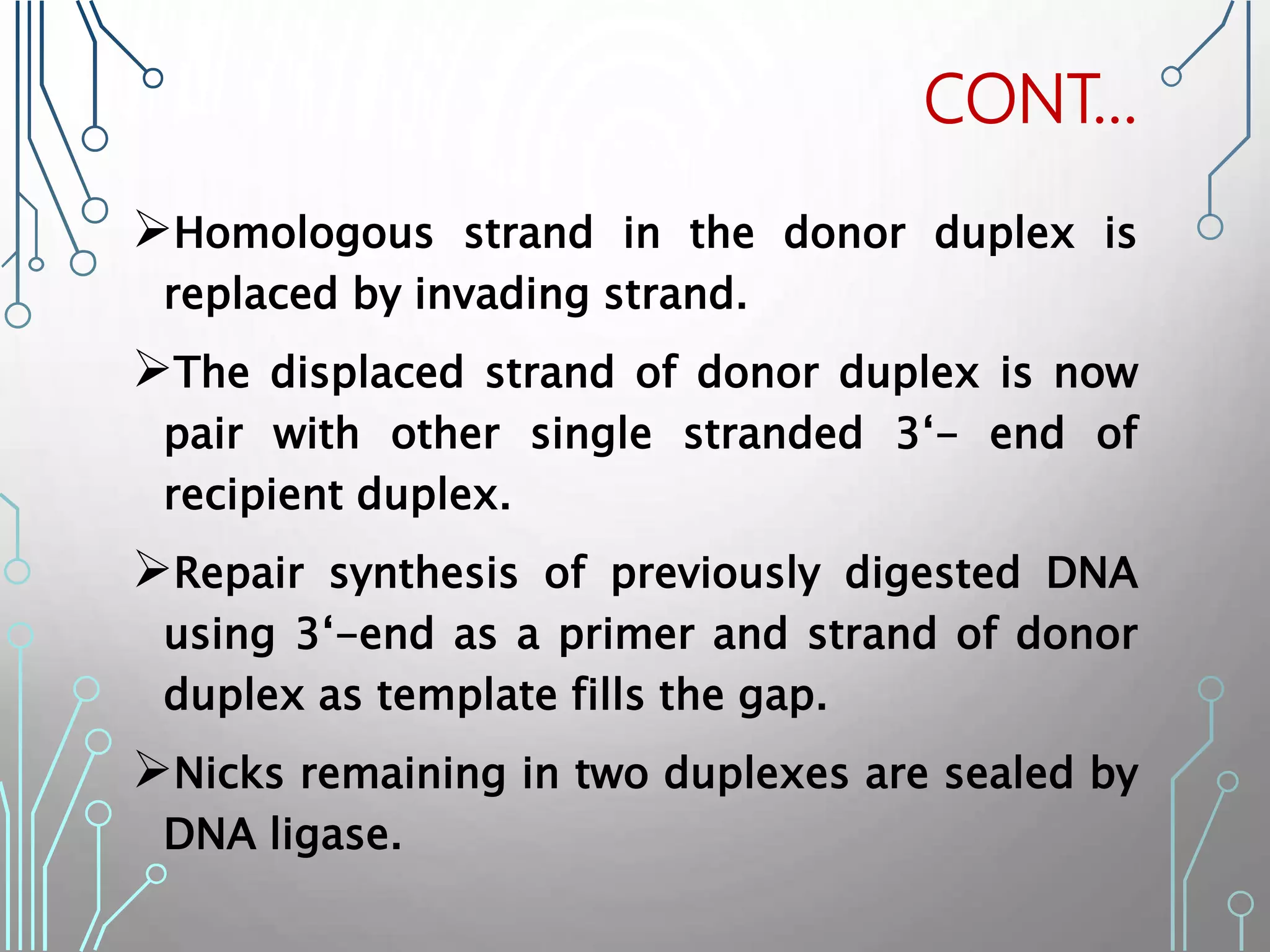 Homologous strand in the donor duplex is
replaced by invading strand.
The displaced strand of donor duplex is now
pair with other single stranded 3‘- end of
recipient duplex.
Repair synthesis of previously digested DNA
using 3‘-end as a primer and strand of donor
duplex as template fills the gap.
Nicks remaining in two duplexes are sealed by
DNA ligase.
CONT…
 