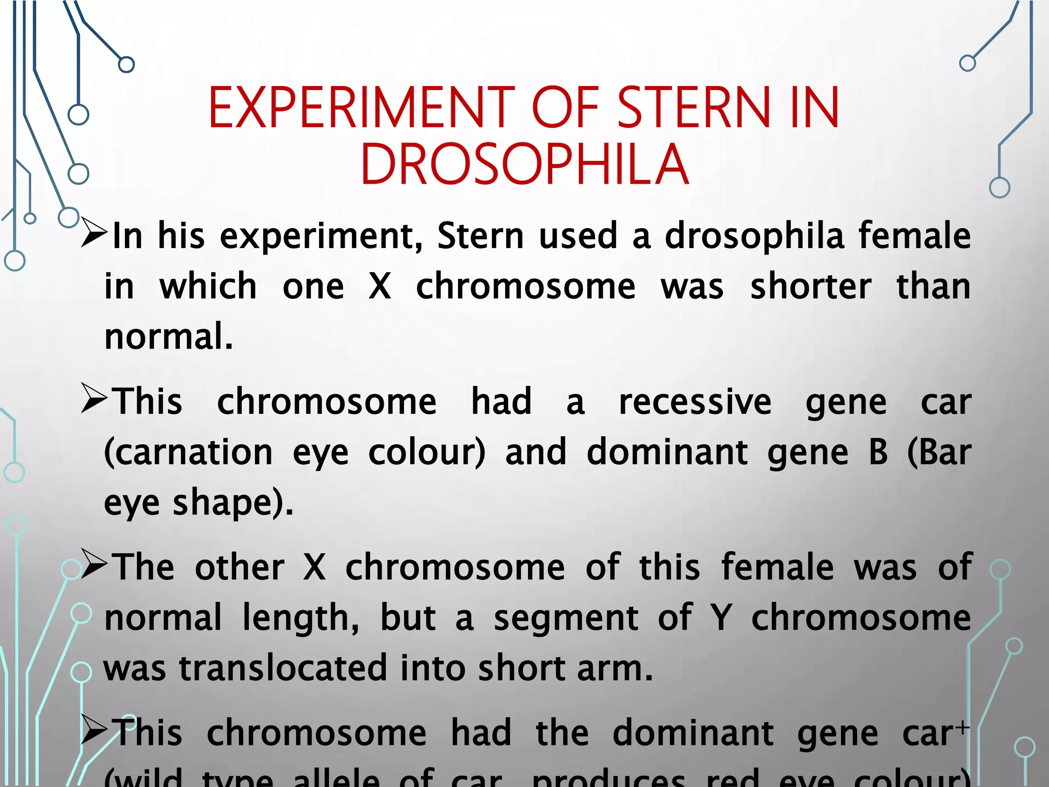 EXPERIMENT OF STERN IN
DROSOPHILA
In his experiment, Stern used a drosophila female
in which one X chromosome was shorter than
normal.
This chromosome had a recessive gene car
(carnation eye colour) and dominant gene B (Bar
eye shape).
The other X chromosome of this female was of
normal length, but a segment of Y chromosome
was translocated into short arm.
This chromosome had the dominant gene car+
 