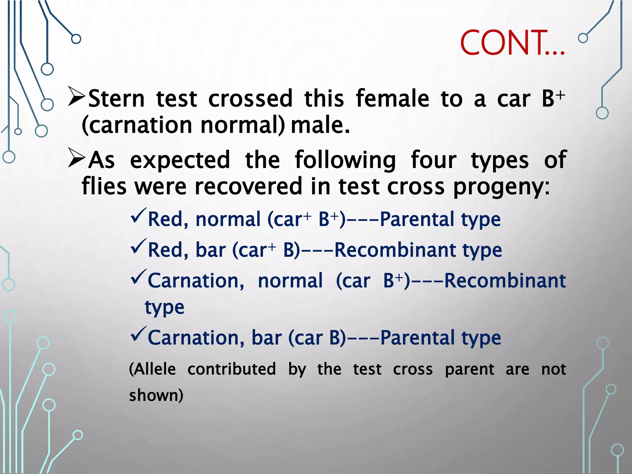 Stern test crossed this female to a car B+
(carnation normal) male.
As expected the following four types of
flies were recovered in test cross progeny:
Red, normal (car+ B+)---Parental type
Red, bar (car+ B)---Recombinant type
Carnation, normal (car B+)---Recombinant
type
Carnation, bar (car B)---Parental type
(Allele contributed by the test cross parent are not
shown)
CONT…
 