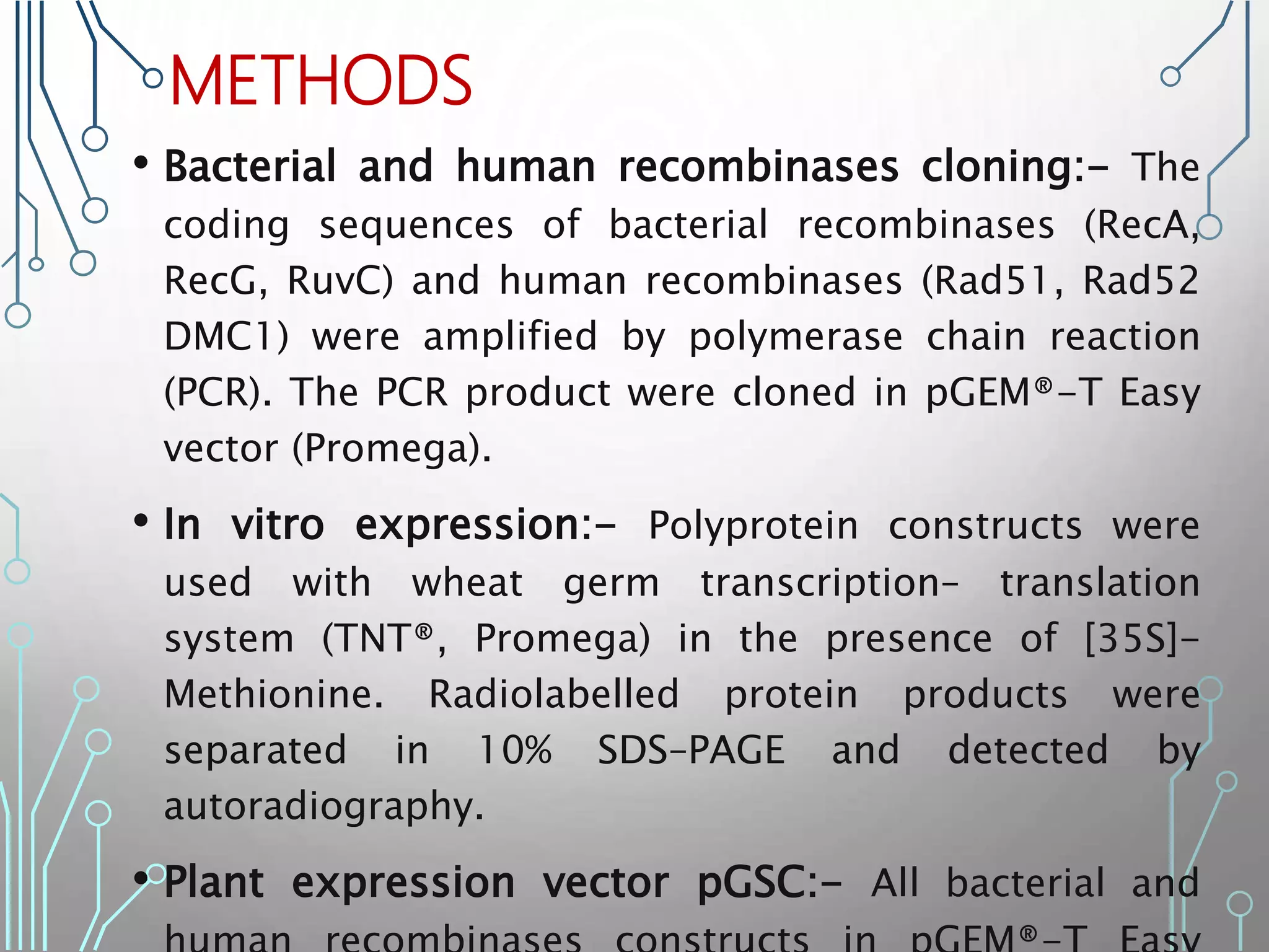 METHODS
• Bacterial and human recombinases cloning:- The
coding sequences of bacterial recombinases (RecA,
RecG, RuvC) and human recombinases (Rad51, Rad52
DMC1) were amplified by polymerase chain reaction
(PCR). The PCR product were cloned in pGEM®-T Easy
vector (Promega).
• In vitro expression:- Polyprotein constructs were
used with wheat germ transcription– translation
system (TNT®, Promega) in the presence of [35S]-
Methionine. Radiolabelled protein products were
separated in 10% SDS–PAGE and detected by
autoradiography.
• Plant expression vector pGSC:- All bacterial and
 